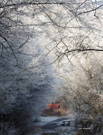 Zuzmarában Lázbércen